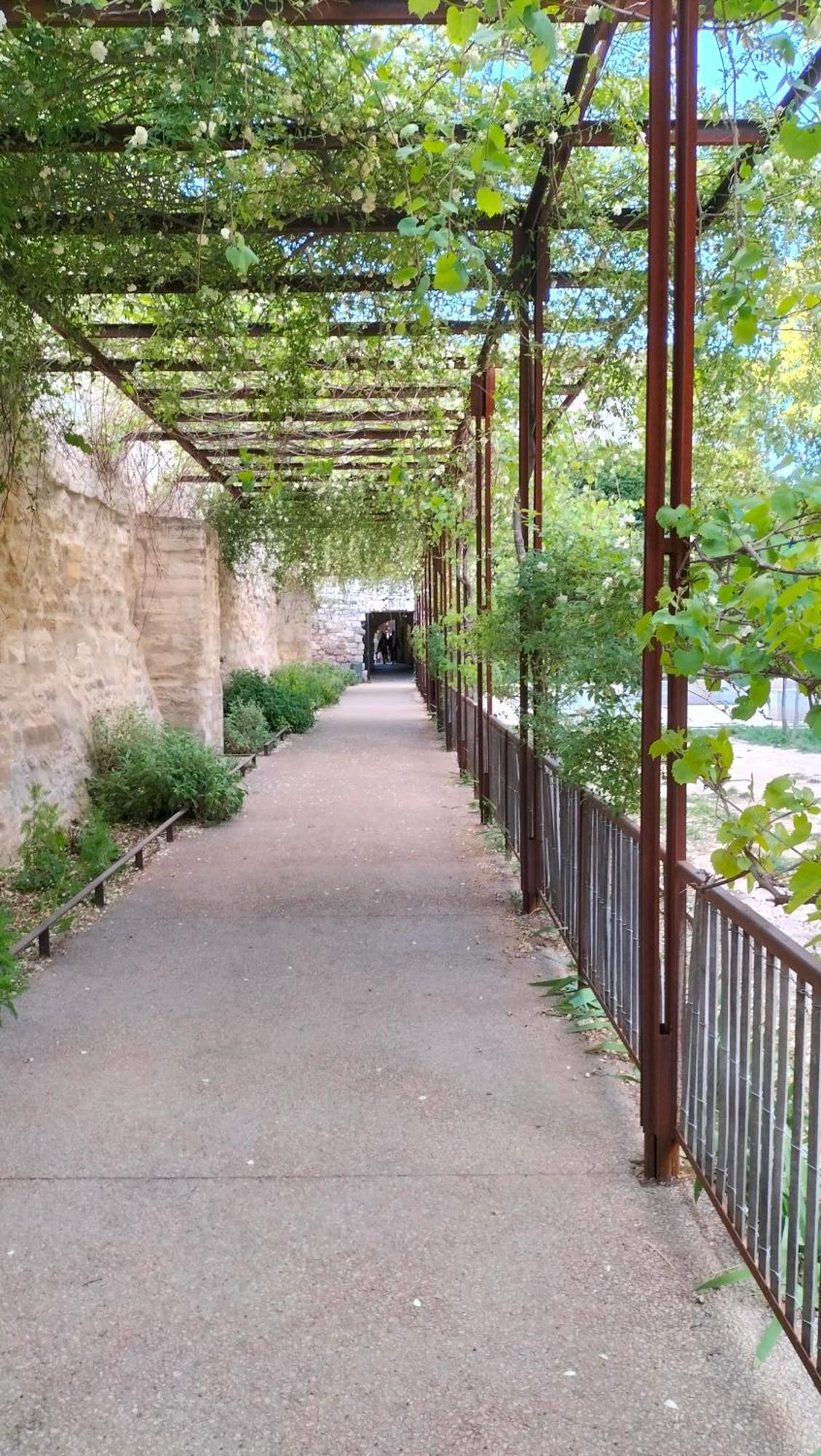 אביניון Studio Terrasse, Intra-Muros, Climatise Avec Wifi מראה חיצוני תמונה